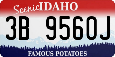 ID license plate 3B9560J