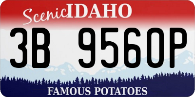 ID license plate 3B9560P