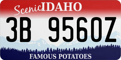 ID license plate 3B9560Z