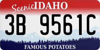 ID license plate 3B9561C