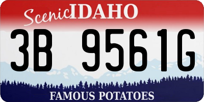 ID license plate 3B9561G