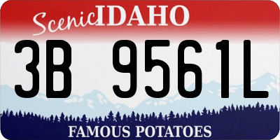 ID license plate 3B9561L