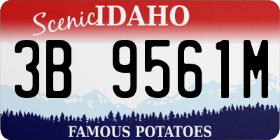 ID license plate 3B9561M