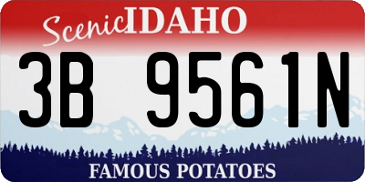 ID license plate 3B9561N