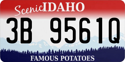 ID license plate 3B9561Q