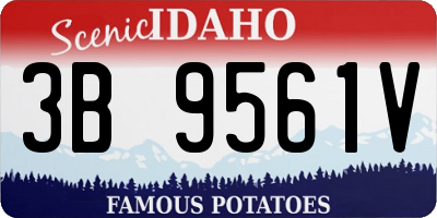 ID license plate 3B9561V