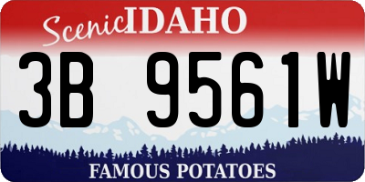 ID license plate 3B9561W