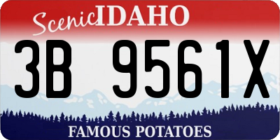 ID license plate 3B9561X