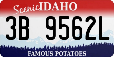 ID license plate 3B9562L