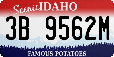 ID license plate 3B9562M