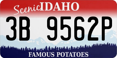 ID license plate 3B9562P