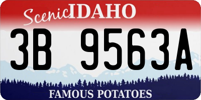 ID license plate 3B9563A