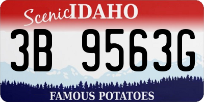 ID license plate 3B9563G