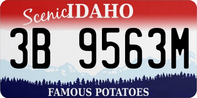 ID license plate 3B9563M