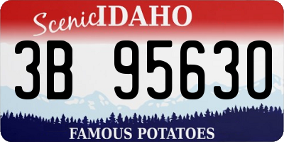 ID license plate 3B9563O