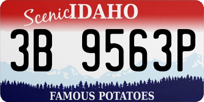 ID license plate 3B9563P