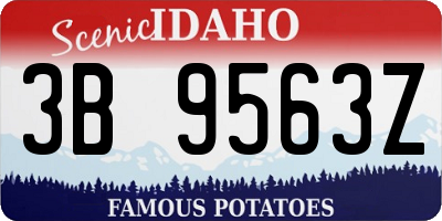 ID license plate 3B9563Z