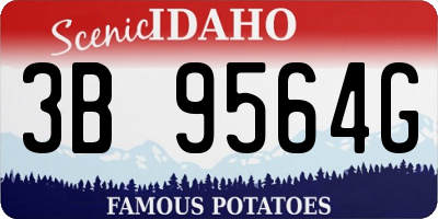ID license plate 3B9564G