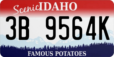 ID license plate 3B9564K