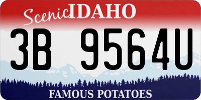 ID license plate 3B9564U