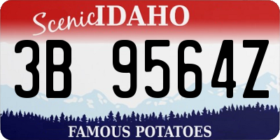 ID license plate 3B9564Z