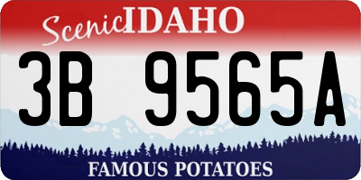 ID license plate 3B9565A