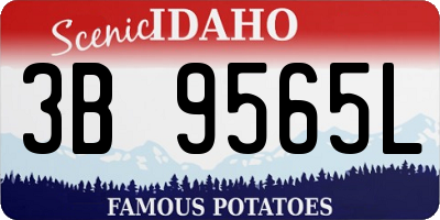 ID license plate 3B9565L