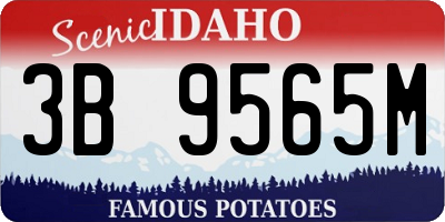 ID license plate 3B9565M