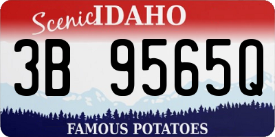 ID license plate 3B9565Q