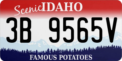ID license plate 3B9565V