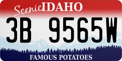 ID license plate 3B9565W