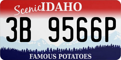 ID license plate 3B9566P