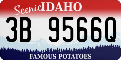 ID license plate 3B9566Q