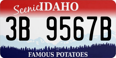 ID license plate 3B9567B