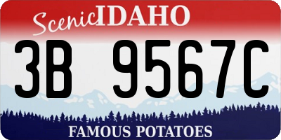 ID license plate 3B9567C
