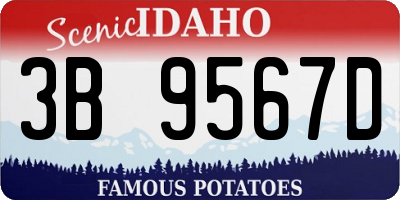 ID license plate 3B9567D