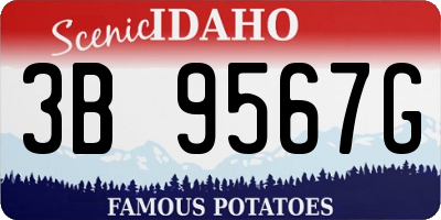 ID license plate 3B9567G