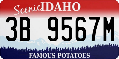 ID license plate 3B9567M