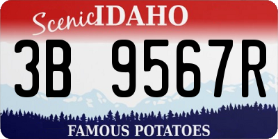ID license plate 3B9567R