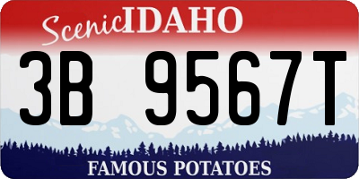 ID license plate 3B9567T