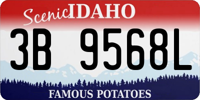 ID license plate 3B9568L