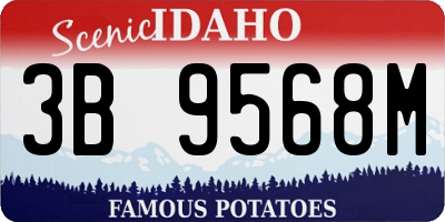 ID license plate 3B9568M