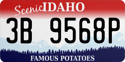 ID license plate 3B9568P