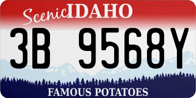 ID license plate 3B9568Y