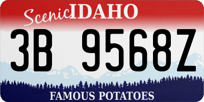 ID license plate 3B9568Z