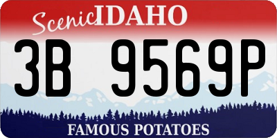 ID license plate 3B9569P