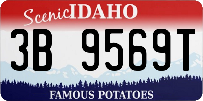 ID license plate 3B9569T