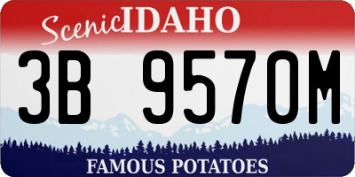 ID license plate 3B9570M