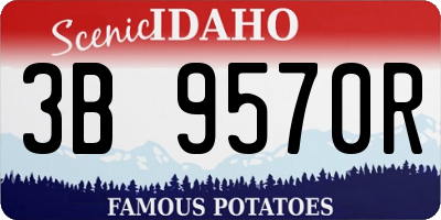ID license plate 3B9570R