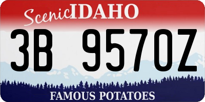 ID license plate 3B9570Z